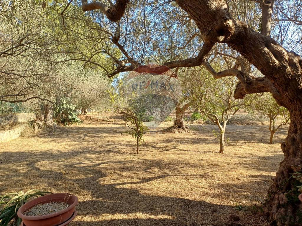 Villa a Chiaramonte gulfi in c/da Dicchiara - Foto 3