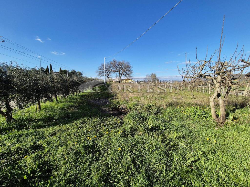 Appartamento a Città di castello in Vocabolo Vagni - Foto 4