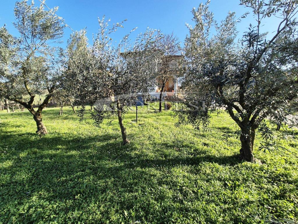 Appartamento a Città di castello in Vocabolo Vagni - Foto 5