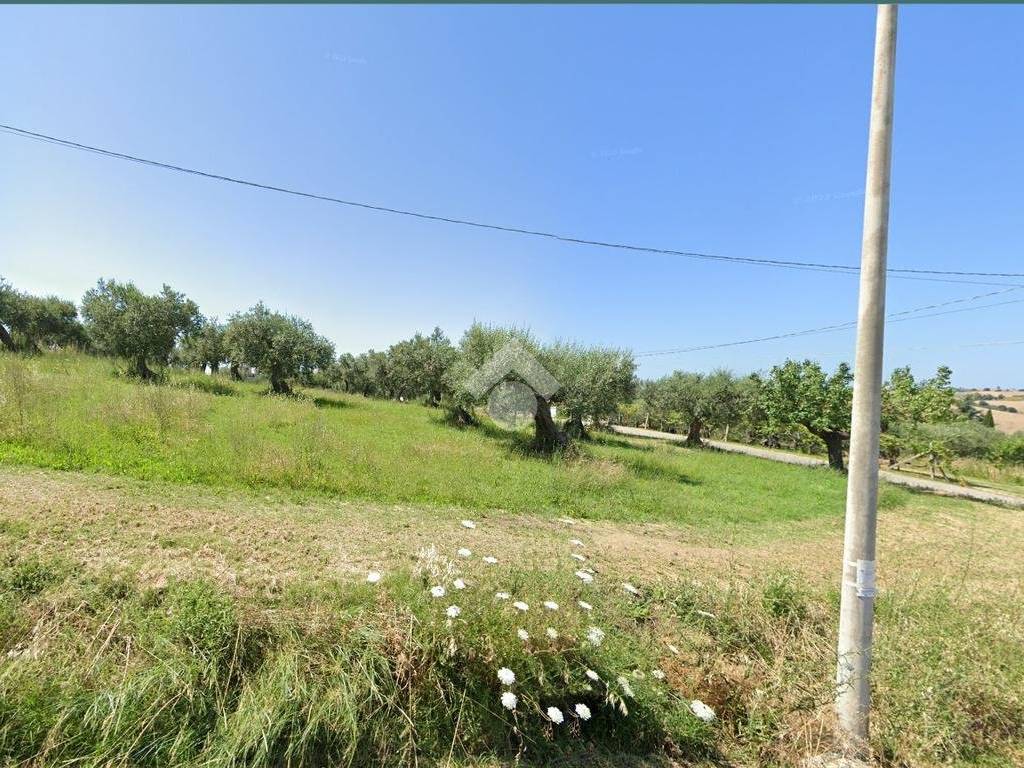 Terreno a Montenero di bisaccia in Contrada Querce Marine Montenero Di Bisaccia - Foto 3