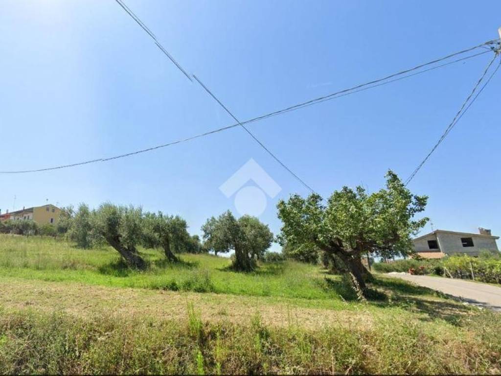 Terreno a Montenero di bisaccia in Contrada Querce Marine Montenero Di Bisaccia - Foto 4