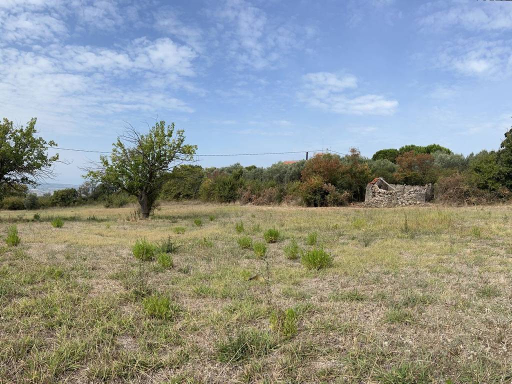 Terreno a Capaccio paestum in Sp13A, 39 - Foto 2