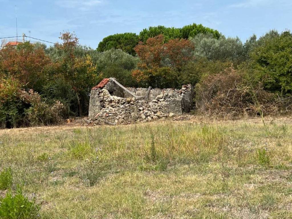 Terreno a Capaccio paestum in Sp13A, 39 - Foto 3