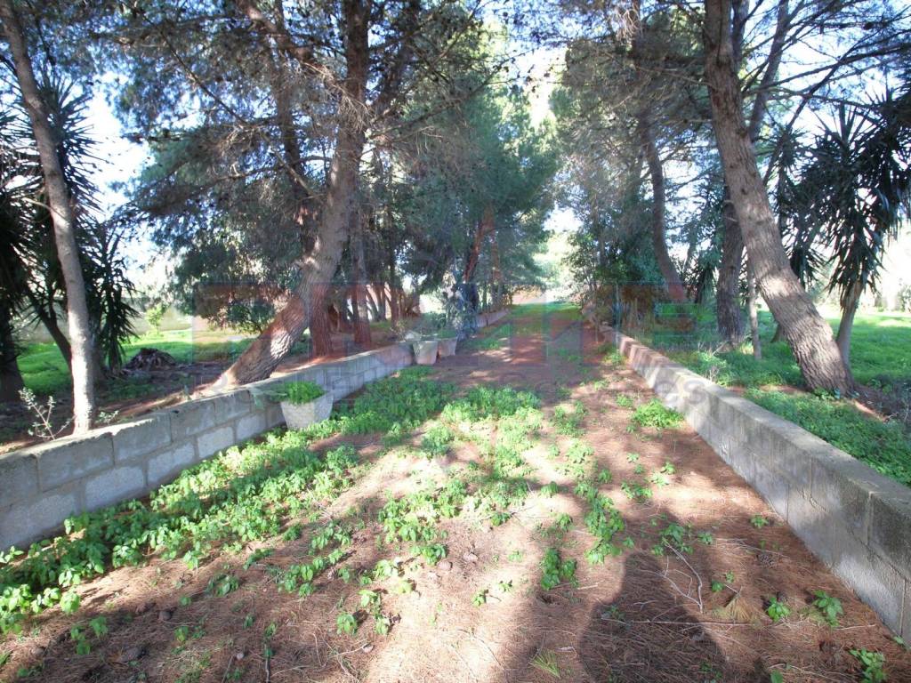 Terreno a Sannicola in SP194 - Foto 5