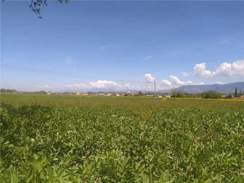 Terreno a Pontecorvo - Foto 3