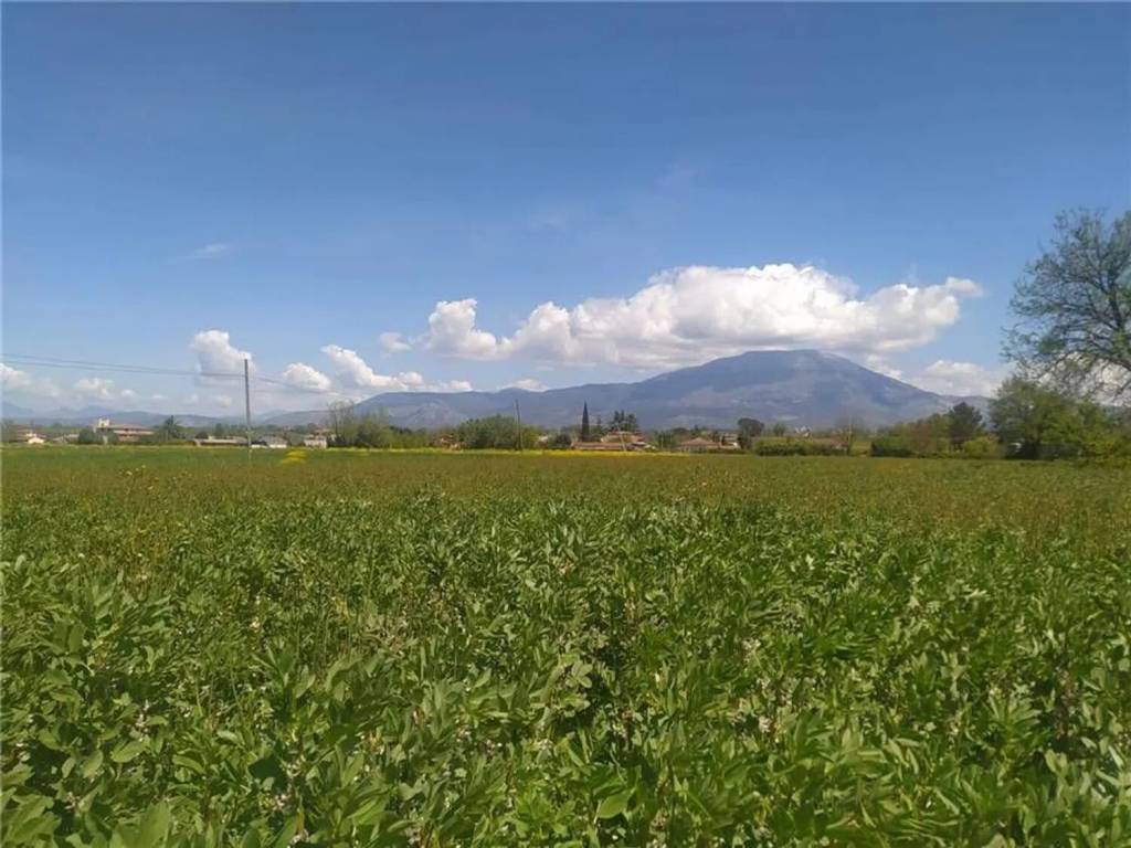 Terreno a Pontecorvo - Foto 5
