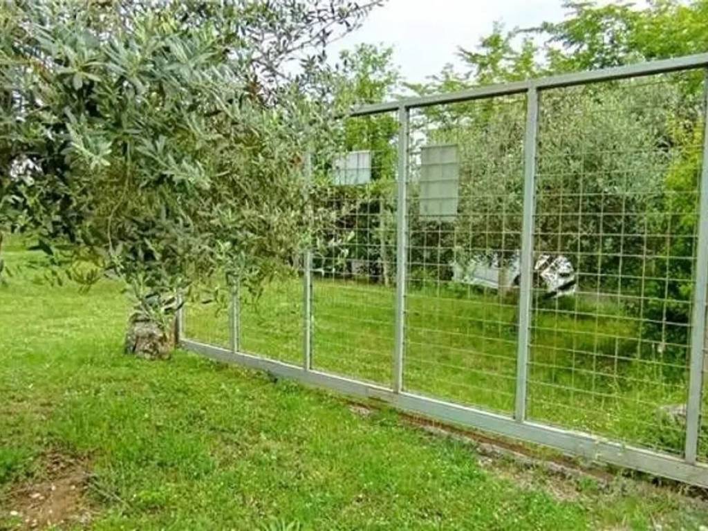 Terreno a Pontecorvo - Foto 3