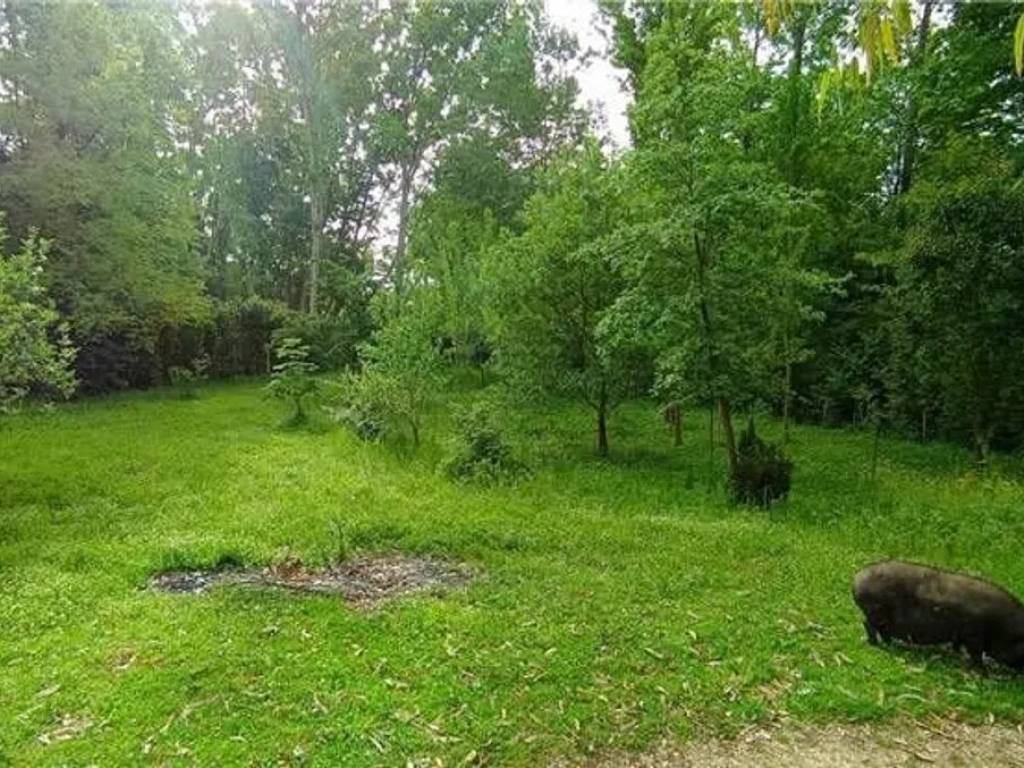 Terreno a Pontecorvo - Foto 5
