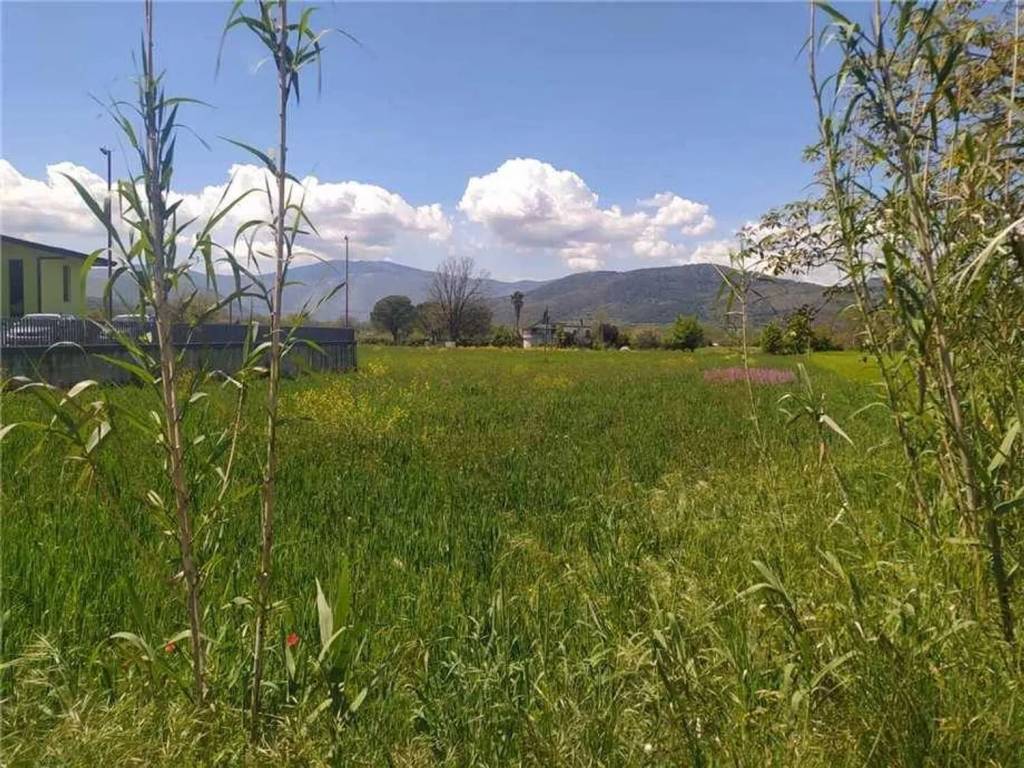Terreno a Pontecorvo - Foto 3