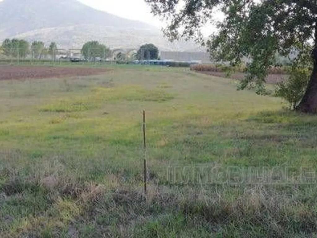 Terreno a Pontecorvo in Via Fabbricata - Foto 5
