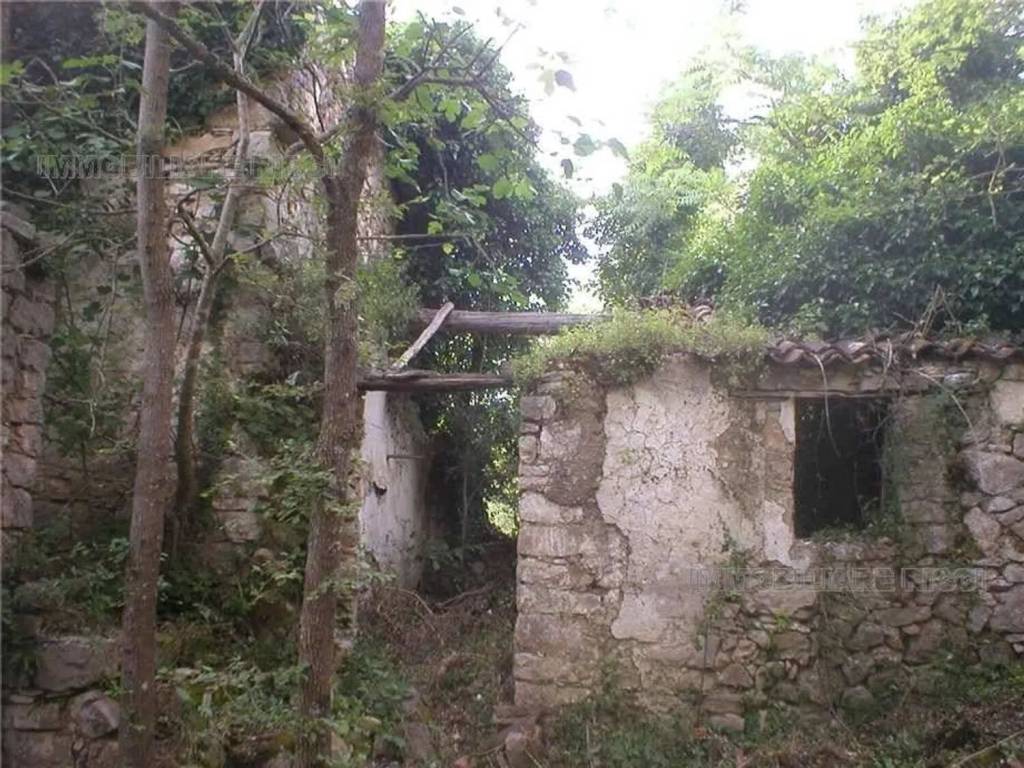 Rustico / casale a Ceprano - Foto 2