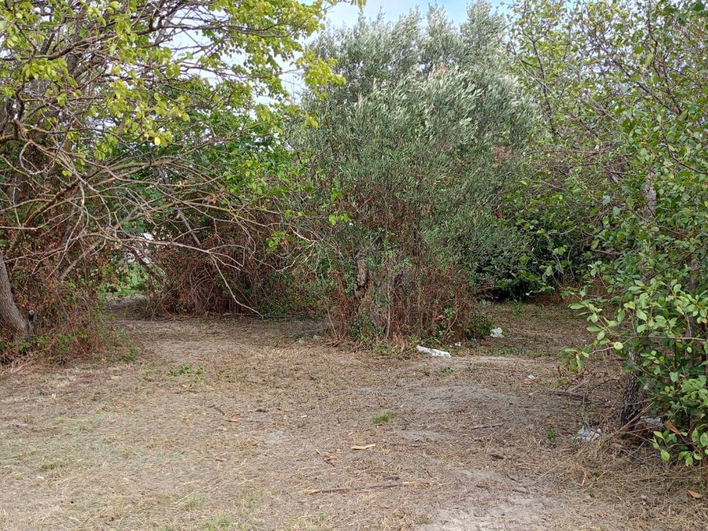 Terreno a Catanzaro in Viale Fiume Busento - Foto 5
