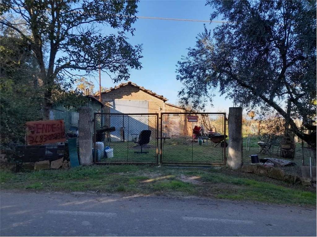 Casa indipendente a Castiglione del lago in Lopi, 204 - Foto 3