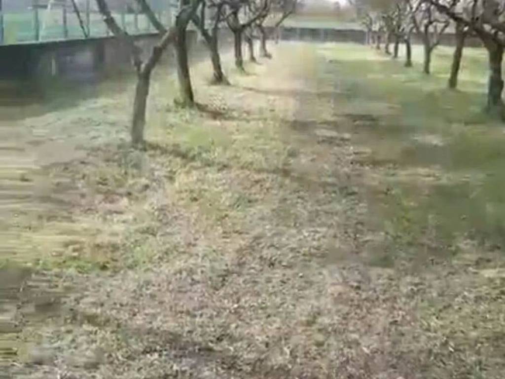 Terreno a Giungano in Località San Giuseppe S.N.C. - Foto 2