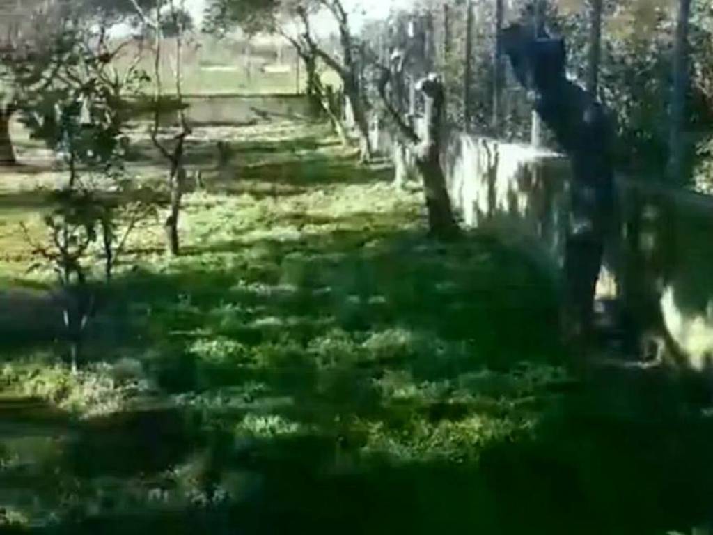 Terreno a Giungano in Località San Giuseppe S.N.C. - Foto 3