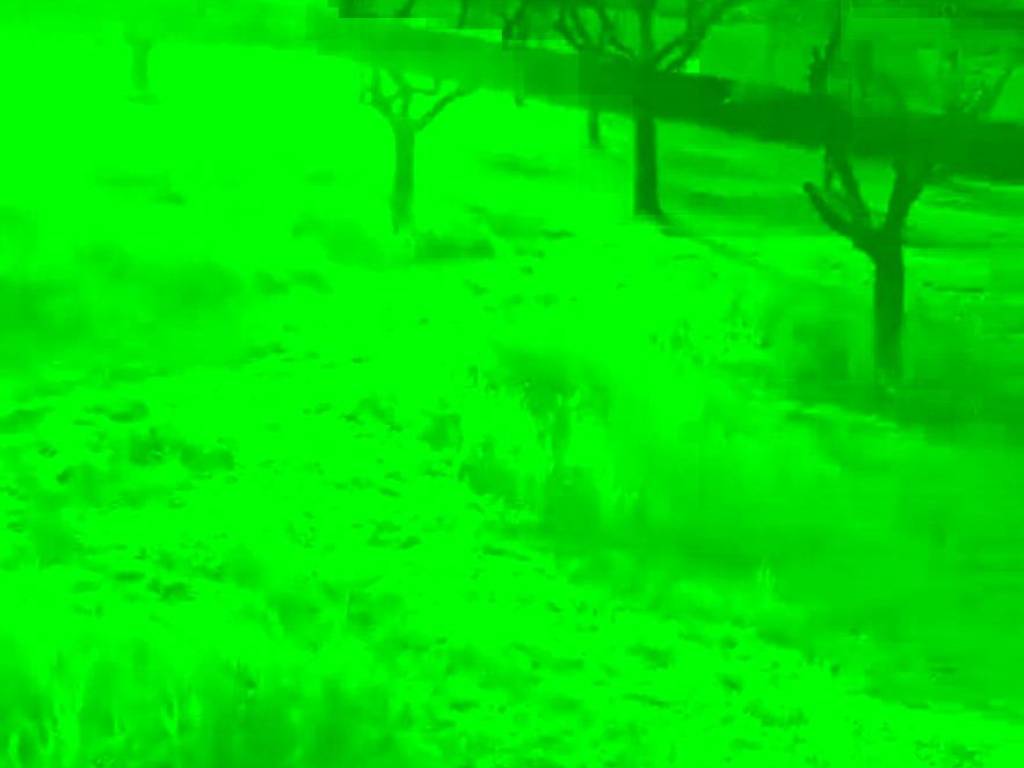 Terreno a Giungano in Località San Giuseppe S.N.C. - Foto 5