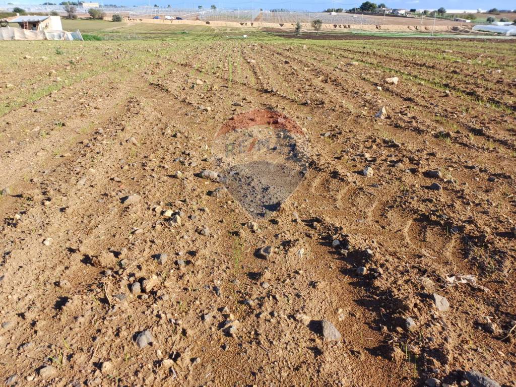 Terreno a Pachino in CONTRADA COZZO CROCE - Foto 3