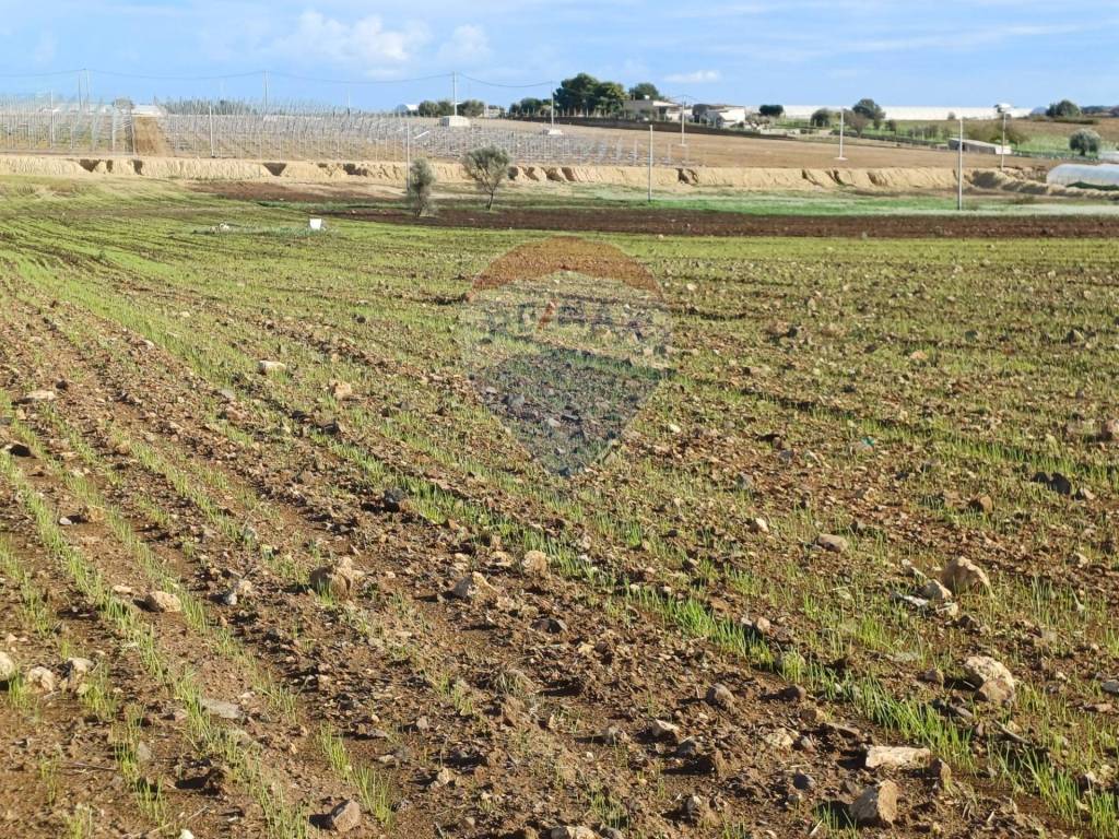 Terreno a Pachino in CONTRADA COZZO CROCE - Foto 5