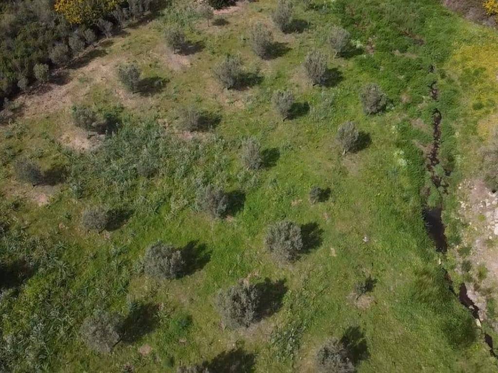 Terreno a Golfo aranci in sa curi - Foto 2