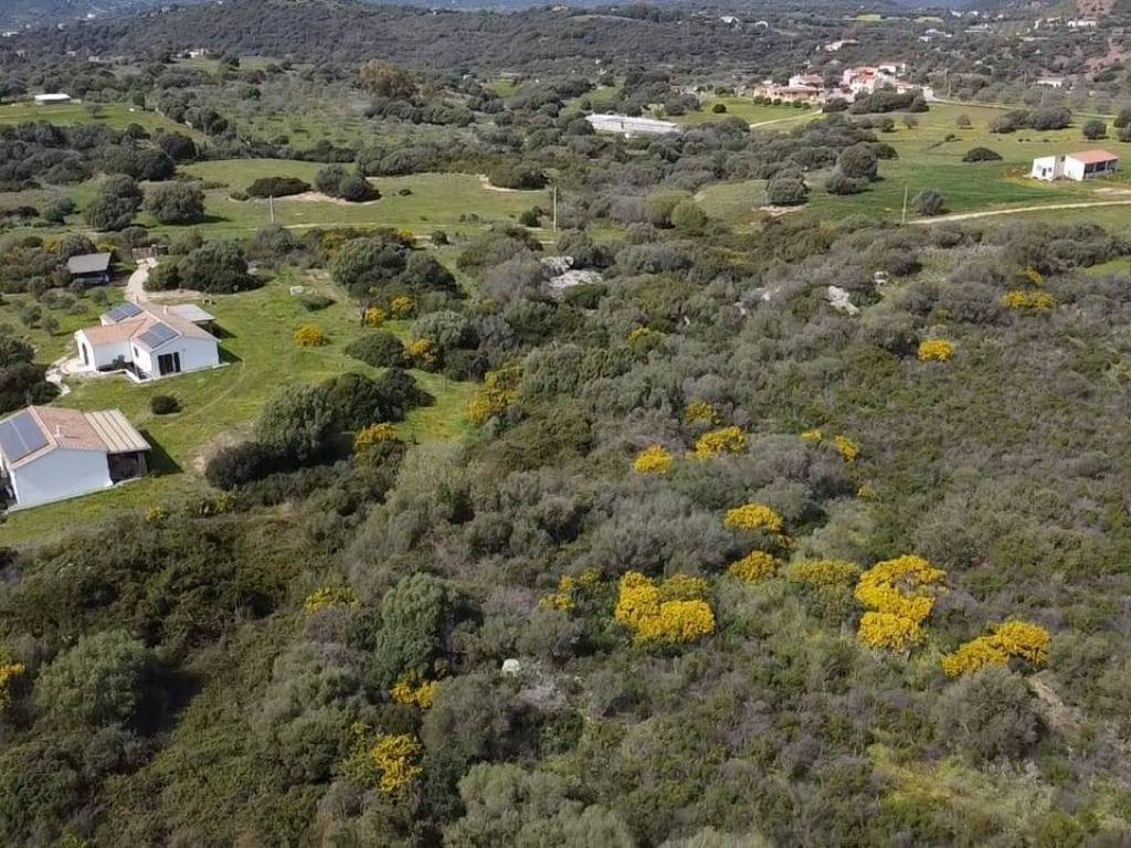 Terreno a Golfo aranci in sa curi - Foto 3