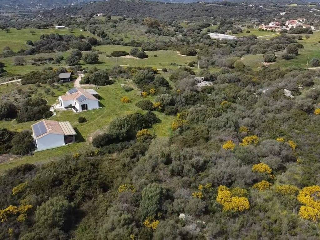 Terreno a Golfo aranci in sa curi - Foto 4