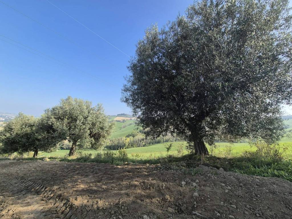 Palazzo / stabile a Fermo in Contrada Montone - Foto 3