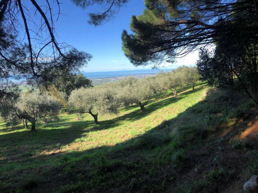 Terreno a Capaccio paestum in Sp13A S.N.C. - Foto 3