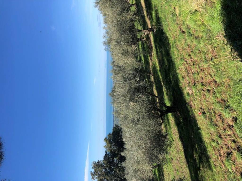 Terreno a Capaccio paestum in Sp13A S.N.C. - Foto 4
