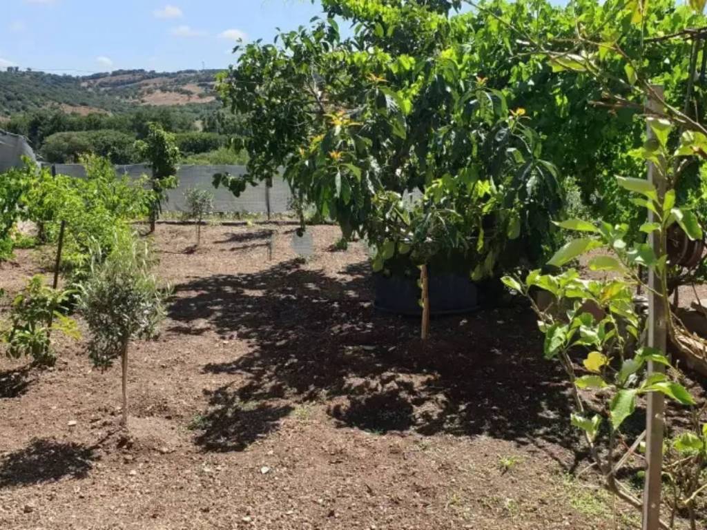 Villa a Putifigari in Via Umberto - Foto 4