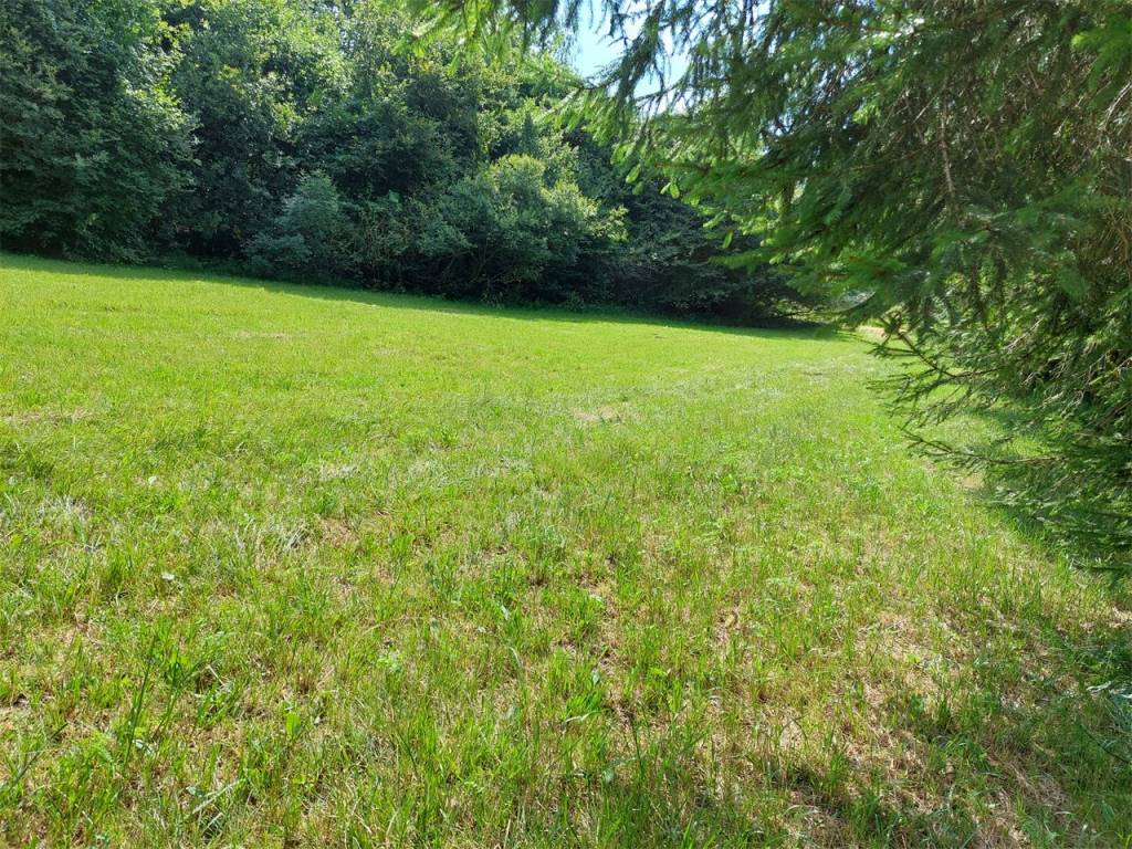 Terreno a Limana - Foto 4