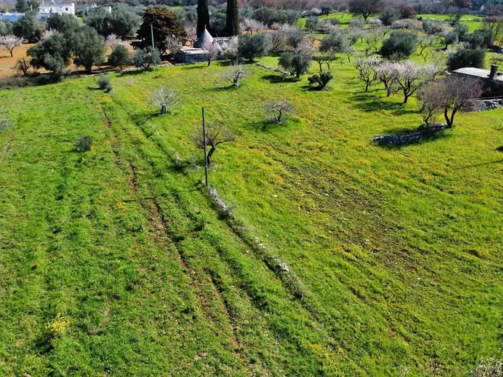 Rustico / casale a Ostuni in LocalitÃ san salvatore - Foto 3