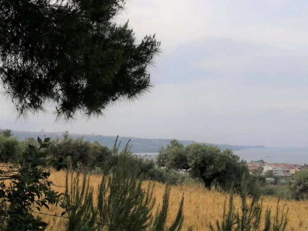 Terreno a Vasto in Contrada Selvotta S.N.C. - Foto 2