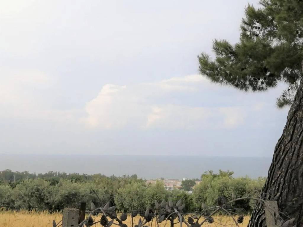 Terreno a Vasto in Contrada Selvotta S.N.C. - Foto 3