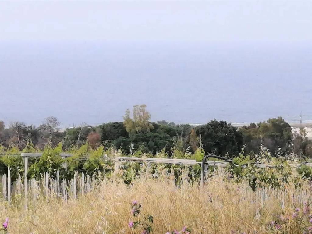 Terreno a Vasto in Contrada Selvotta S.N.C. - Foto 4