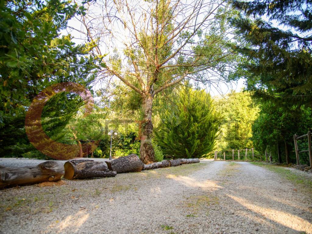 Rustico / casale a Massa marittima - Foto 3