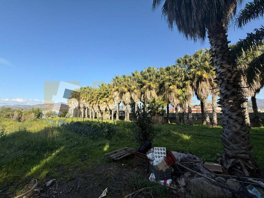 Terreno a Montecorvino rovella in Via Tiziano Traversa 1 - Foto 3