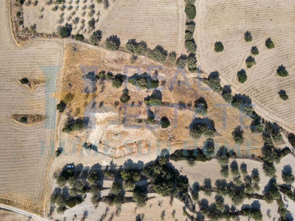 Terreno a Noto in Via Tommaso Fazello, 228 - Foto 5
