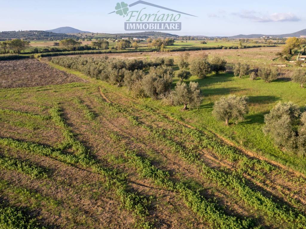 Terreno a Montalto di castro in Località Gorello - Foto 2