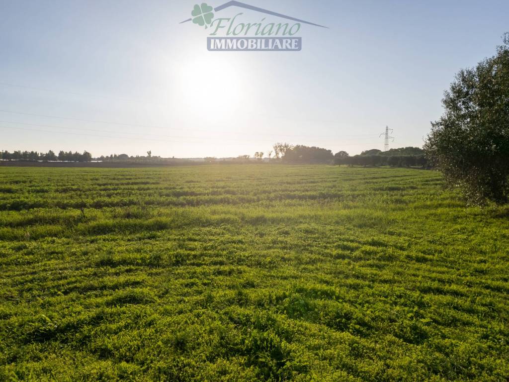 Terreno a Montalto di castro in Località Gorello - Foto 3