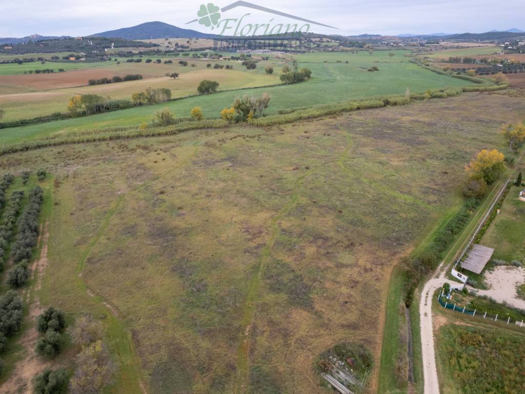 Terreno a Montalto di castro in Località Gorello - Foto 4