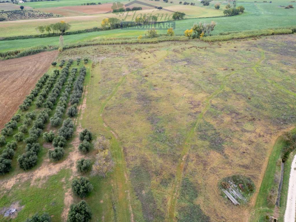 Terreno a Montalto di castro in Località Gorello - Foto 5