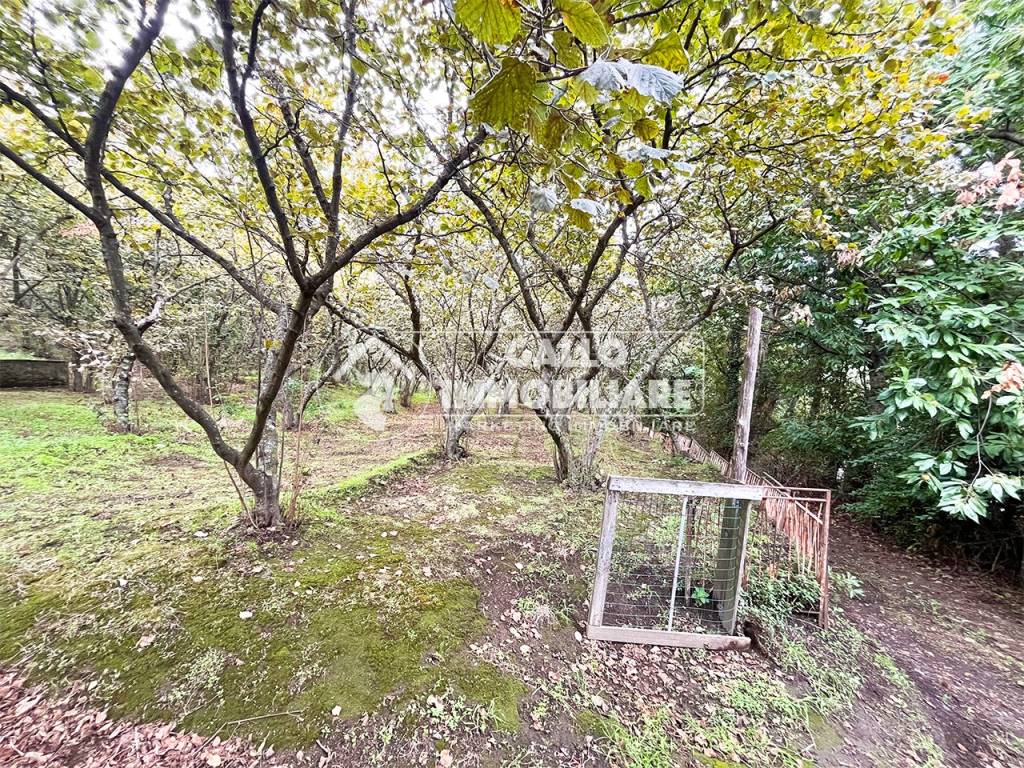 Terreno a Monteforte irpino in Via Annarumma - Foto 4