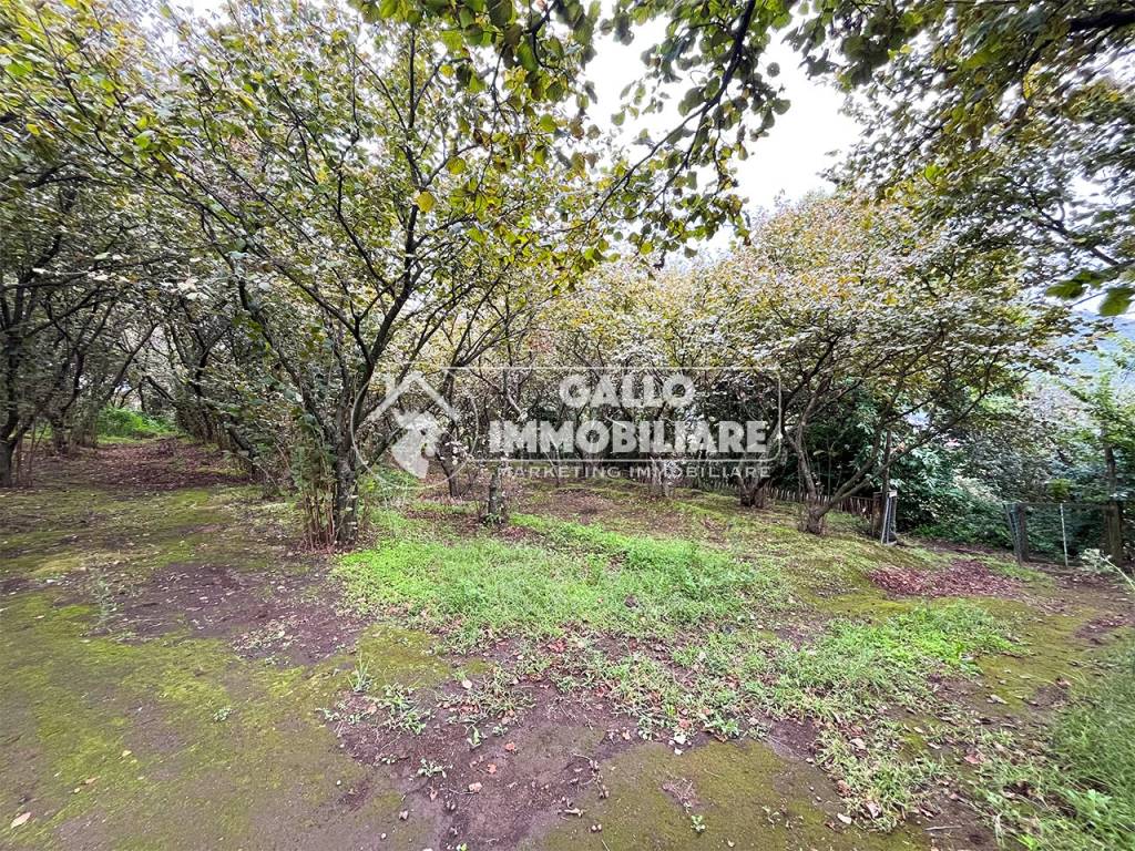 Terreno a Monteforte irpino in Via Annarumma - Foto 5