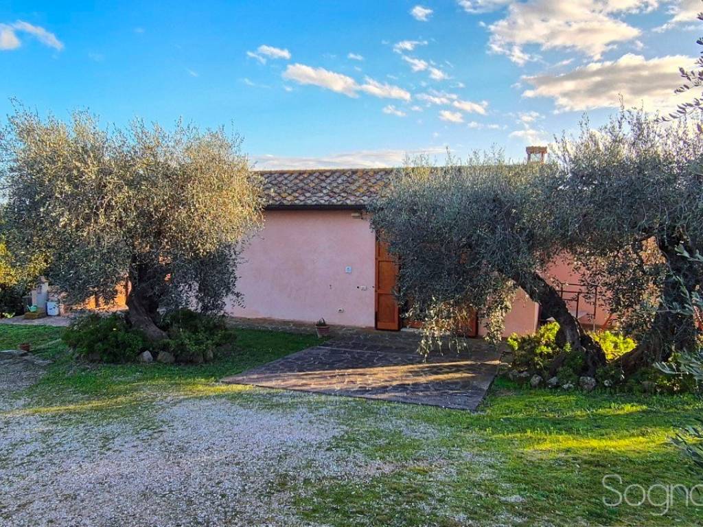 Rustico / casale a Magliano in toscana in Strada provinciale di Montiano - Foto 2