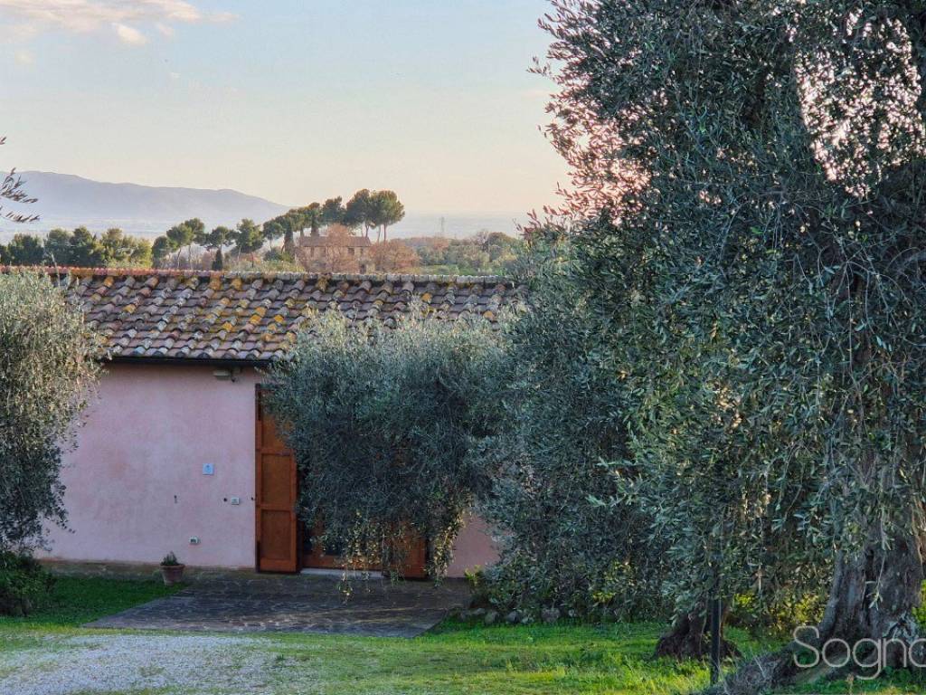 Rustico / casale a Magliano in toscana in Strada provinciale di Montiano - Foto 3