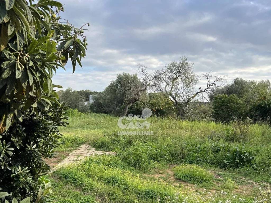 Villa a Marsala in Contrada Ciancio - Foto 3