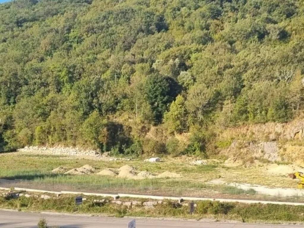 Terreno a Castelnuovo parano in Località Mosella Sr 630 - Foto 2