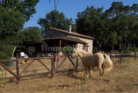 Rustico / casale a Gavorrano - Foto 2