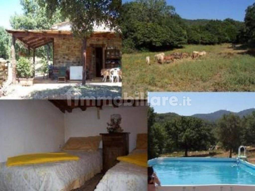 Rustico / casale a Gavorrano - Foto 3