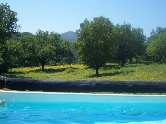 Rustico / casale a Gavorrano - Foto 4